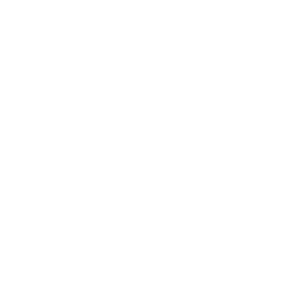 REBEL